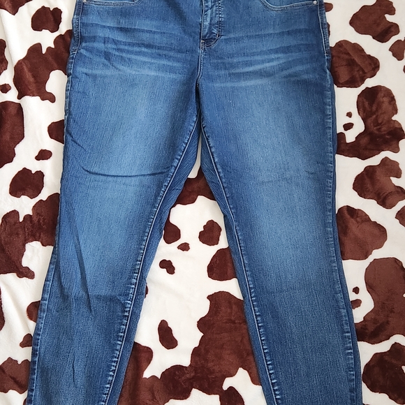 Maurices Denim - Maurices 20 Long Blue Women's Jeans